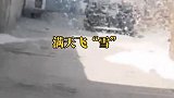 河北邯郸：杨絮随风漫天飞舞如四月“飘雪”