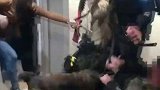 美国一名47岁华裔女子与警方起冲突后被开枪打死