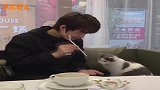 猫咪居然能识破魔术，刘谦算是遇到对手了！