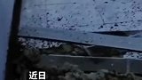 江苏徐州：巨型蜂窝压塌天花板，消防员“缴获”60斤蜂蜜