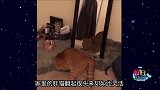 男人对投篮到底有什么执念？