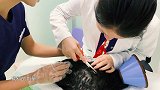 【后续】舌尖上的猫咪，猫咪和橄榄油的化学反应？