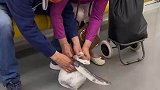 小鱼不断挣扎溜出来，大爷大妈急坏了