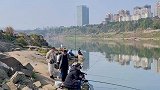 为什么我去钓个鱼被说成偷狗？