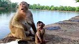 猴子幸福的母女俩！
