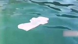 男子在游泳池游泳时，发现水面漂浮一张创可贴