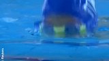 水上项目-17年-折翼的天使!波黑6岁无臂男孩勇夺游泳比赛冠军-新闻