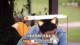 马丽与许嵩意外撞衫，一个温柔一个有文艺范，网友：莫名有点好嗑
