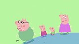小猪佩奇：小蜘蛛爬到树上结网！