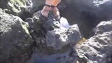 海水落潮之后，被困的鳗鱼