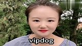 有谁知道贵宾犬的英文怎么说吗，结局太逗了