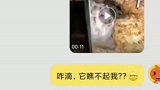 我听说这家伙随主人