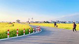 小泰迪你在干嘛？别跑