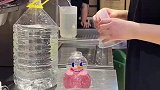 蜜雪冰城里的卧龙凤雏