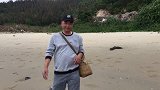 退潮过后海边的螃蟹泛滥了，闲牛随便逛一下就收获了一堆，赚大了