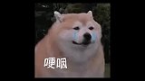 郑渊洁用手写信回应小读者，用真心换真心，这也太有爱了吧！