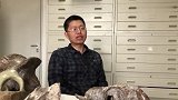 中国发现2.5亿年前九峰吐鲁番兽