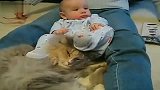 [搞笑]婴儿给猫咪玩儿锁喉