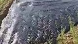 土地今天是拉肚子了吗，咋造成这样