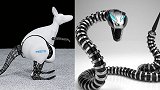 盘点最奇葩动物机器人！3D打印技术创造出来的机器人？