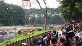 神奇的演出，场面相当震撼