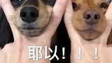 被兵哥哥这段舞蹈可爱到了