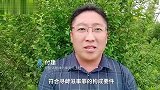 律师解读上海两司机开“斗气车”：涉嫌危害公共安全