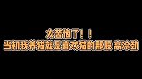太苦恼了，当初养猫就是着迷于猫的那股高冷劲