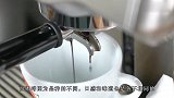 猫屎咖啡1磅上百美元看看商人是怎么获得的，看完你还想喝吗