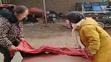 大姐真有意思，这毛绒玩具，咋就变成真狗了