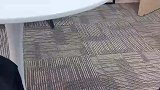 是没有什么在乎的人了吗