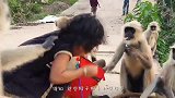 峨眉山猴子最怕这一”物“，拿出来一亮，猴子立马变安分！