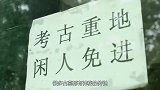 千年古墓被大蛇占据，无人敢上山，考古专家冒险进入后遇到古怪！