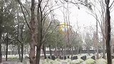 一位76岁老人守护烈士陵园21年，想为更多烈士找到家人