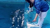 高空绝技 凌空跳跃