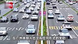 男子1年举报2277起违章，被骂多管闲事，本人：希望每个违章都有代价