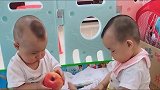 双胞胎弟弟抢哥哥的苹果吃，哥哥这苹果太大怎么吃啊，好可爱