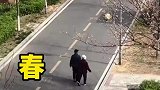 夫妻经常在小区里遛弯，邻居本想在每个季节拍一次遗憾没有凑够