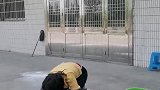 跟大姐撒娇一下，我大姐，生气了