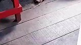 这是个什么物种，我这地板都坏了