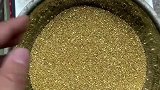 第一次收黄金，这一盆价值一套房！一粒十几块大家觉得值不值