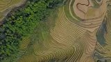 龙脊梯田人类最伟大的工程之一！