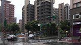 一场暴雨过后，森林出现庞然大物，走近一看专家傻眼了