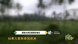 泰国小象害怕下水，动作轻柔引围观，网友还不是真香