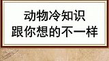 这些动物和你想的不一样