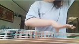 女子弹古筝二哈在旁深情伴唱