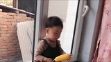 爸爸用生玉米套路两岁萌宝，没想到一眼就被宝宝给识破了