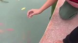 小伙子徒手捞龟的搞笑操作！