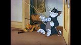 猫和老鼠：杰瑞被棕猫抢走，汤姆为夺回杰瑞，和棕猫打起来！