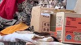 渡我版长安姑娘